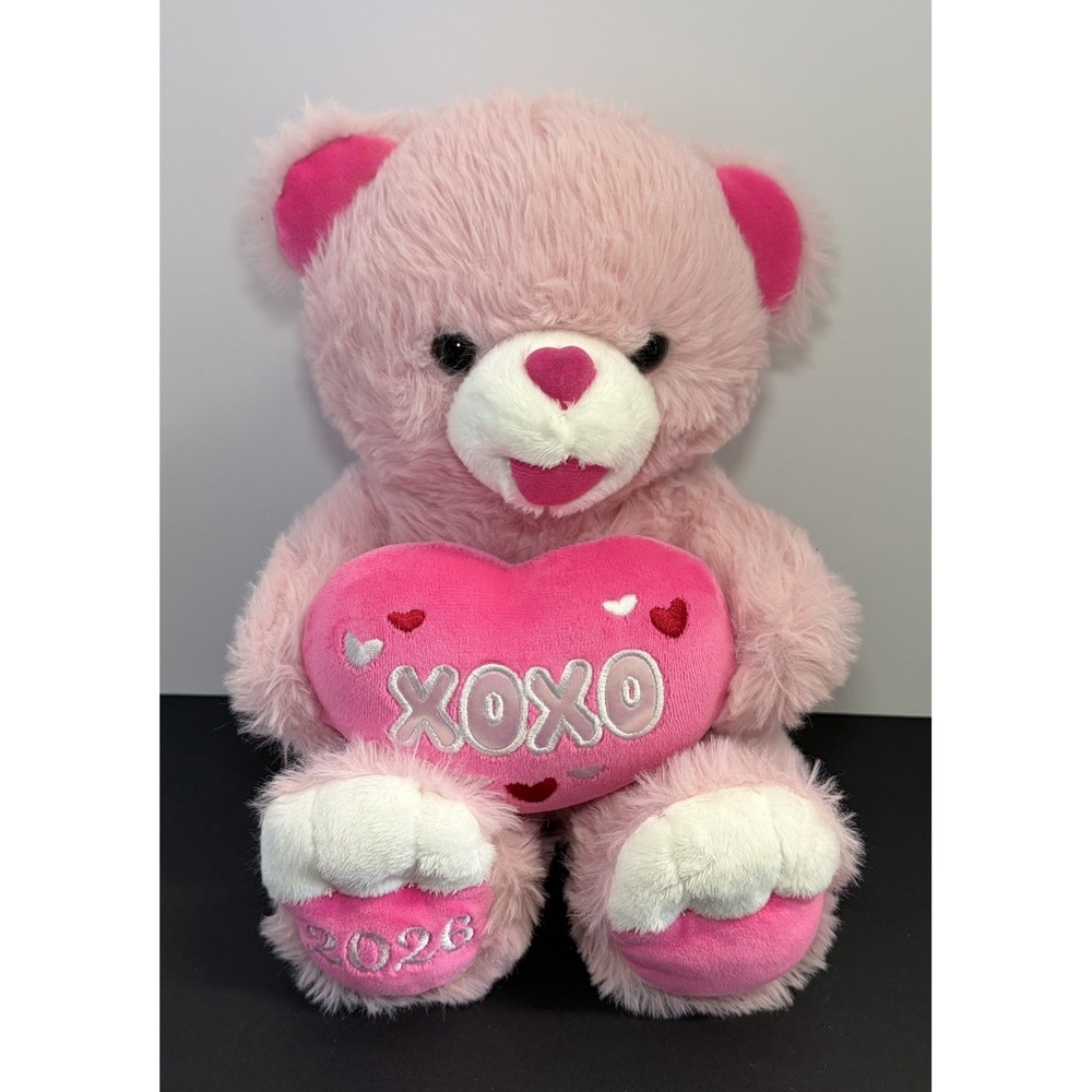 2026 Walmart Valentines BEAR Pink Girl 13 Inches Tall XOXO Sweetheart Teddy